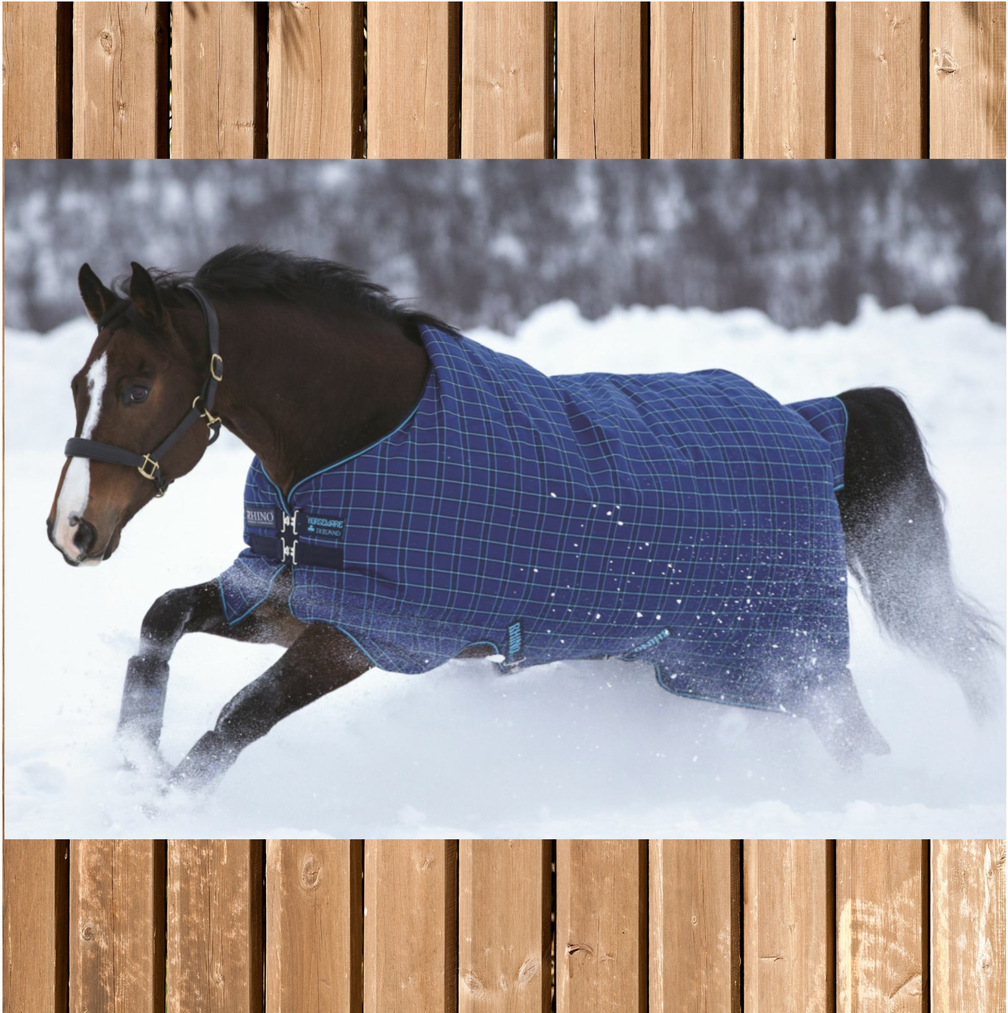 Horseware Rhino Original medium, 200g Winterdecke, navy-lightblu